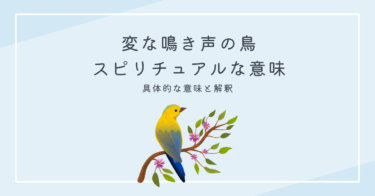 変な鳴き声の鳥 スピリチュアルな意味